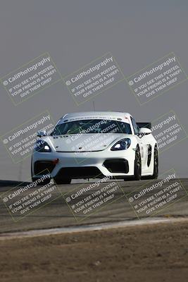 media/Jun-01-2025-PCA Golden Gate (Sun) [[9e4b10205a]]/Red/Session 1 (Grapevine)/